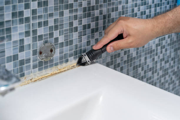 Office Mold Removal Services in Allentown, NJ